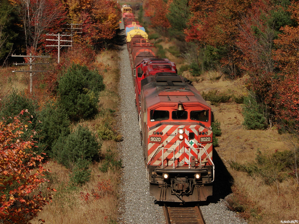 CP 220 - CP 9020 South approaching North Parry on CN's Bala sub, CP 9020 and CP 6615 have today's short but heavy 67 car train under control approaching the slight grade into Parry Sound