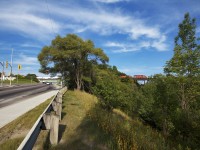 Courtesy of Belleville RTC, westbound CP 131, the Expressway, is lined with a high green all the way to Milton EWT. Here it is seen soaring over Ernest Thompson Seton Park in the eastern edge of Leaside.