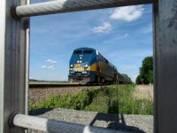 VIA 905 leads train 659 towards the Anderson Rd. crossing in Carlsbad Springs.  Photo is taken close to the ground through the ladder leading up to the signal.