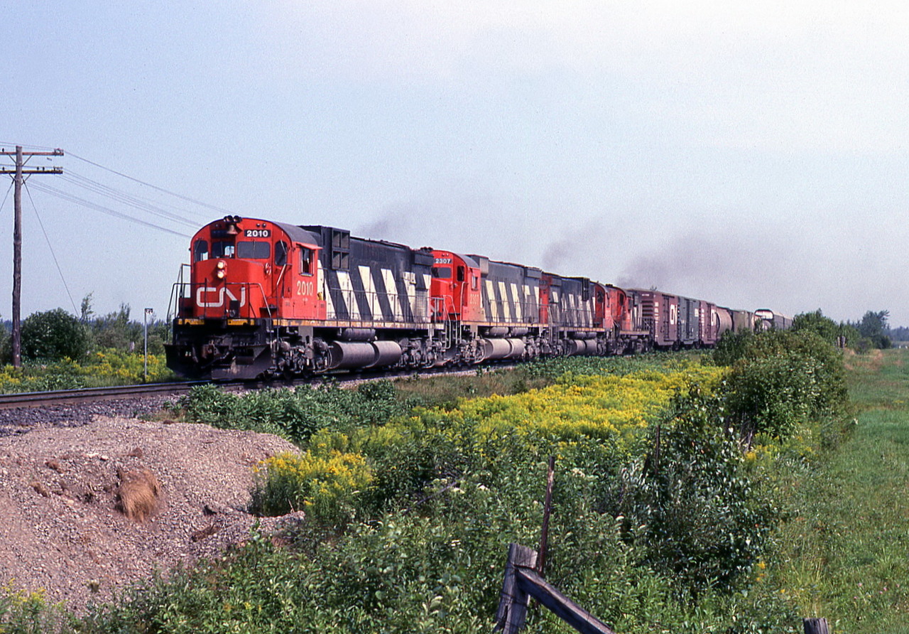 CN 307 doing well at c 60 MPH between Lemieux and Dave.