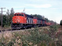 CN 309 2 miles west of Lemieux with 3553 3560 trailing.