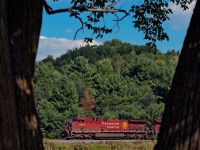 Playing peekaboo through the trees, northbound CP 203 slams the south siding switch Palgrave with a pair of toasters.