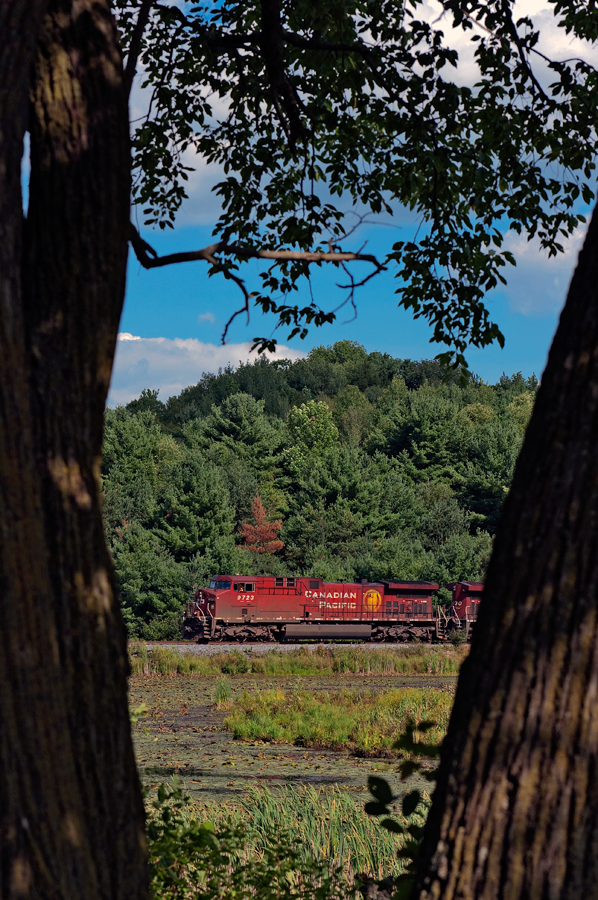Playing peekaboo through the trees, northbound CP 203 slams the south siding switch Palgrave with a pair of toasters.