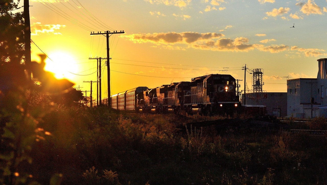 CP 242 with one of its more pleasing all EMD lashups, heads eastbound thru Tilbury as it comes out of the evening setting sun with a long load of autoracks.