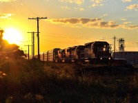 CP 242 with one of its more pleasing all EMD lashups, heads eastbound thru Tilbury as it comes out of the evening setting sun with a long load of autoracks.