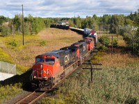 The crew of CN 112, with ten year old Dash 9-44W #2645 / SD75I #5783 (13 years old) and SD70M-2 #8883 (a 2 year old),  is at Bala Subdivision mile 40.5, the approach to Pine Orchard, Ontario and is throttling up the power to tackle the hills of the Oak Ridges Moraine on a cool September 19, 2012 morning. Image by S.Danko