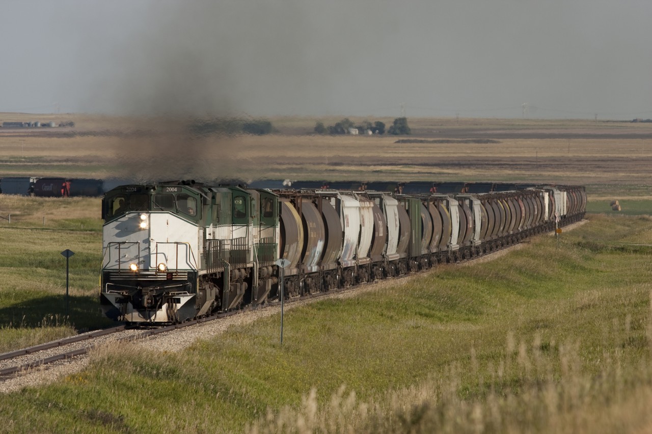 3 M420's pull 30 empty grain cars south towards Coronach