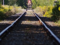 After climbing up the grade at Green River T08 descends the hill at Atha Road in the dense forests of Duffins Creek.