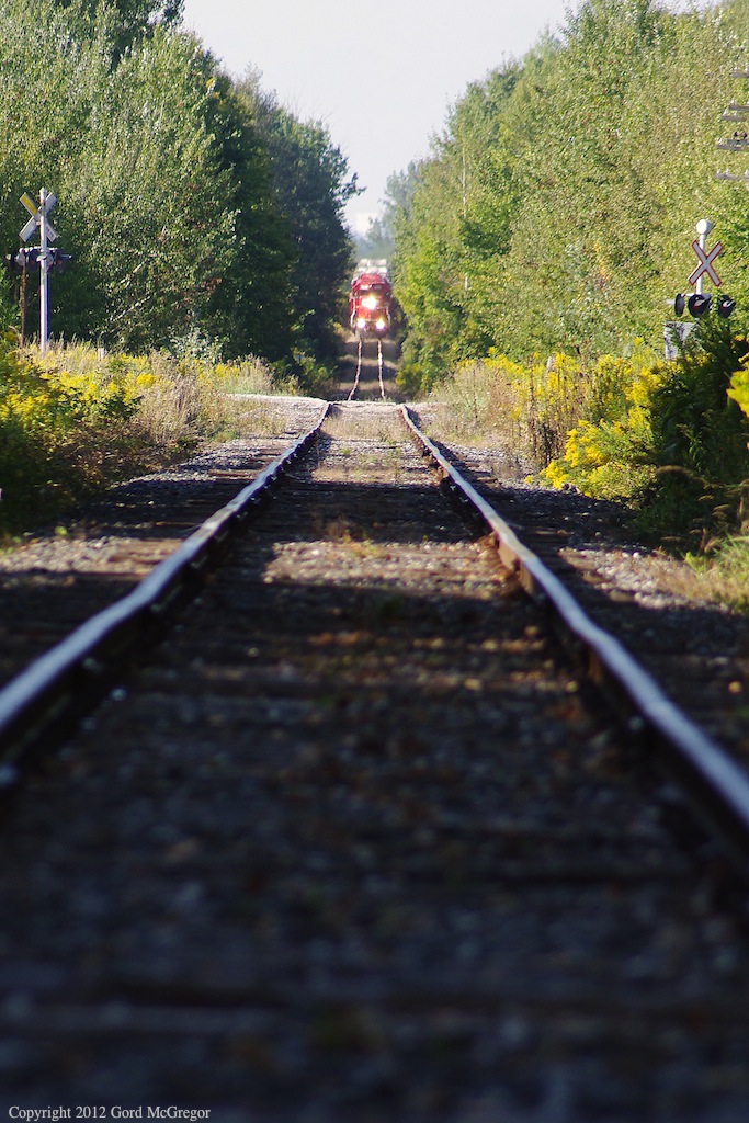 After climbing up the grade at Green River T08 descends the hill at Atha Road in the dense forests of Duffins Creek.