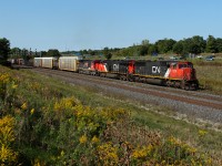 CN 422 muscles into Aldershot with a 15 anniversary C40-8 third out.  