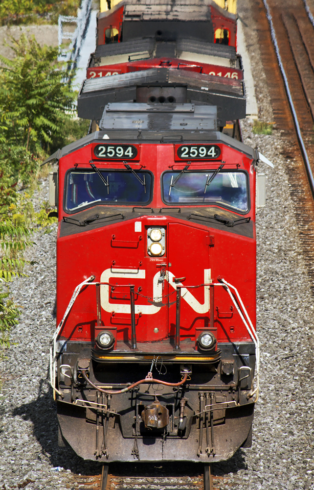 Little red riding hood.