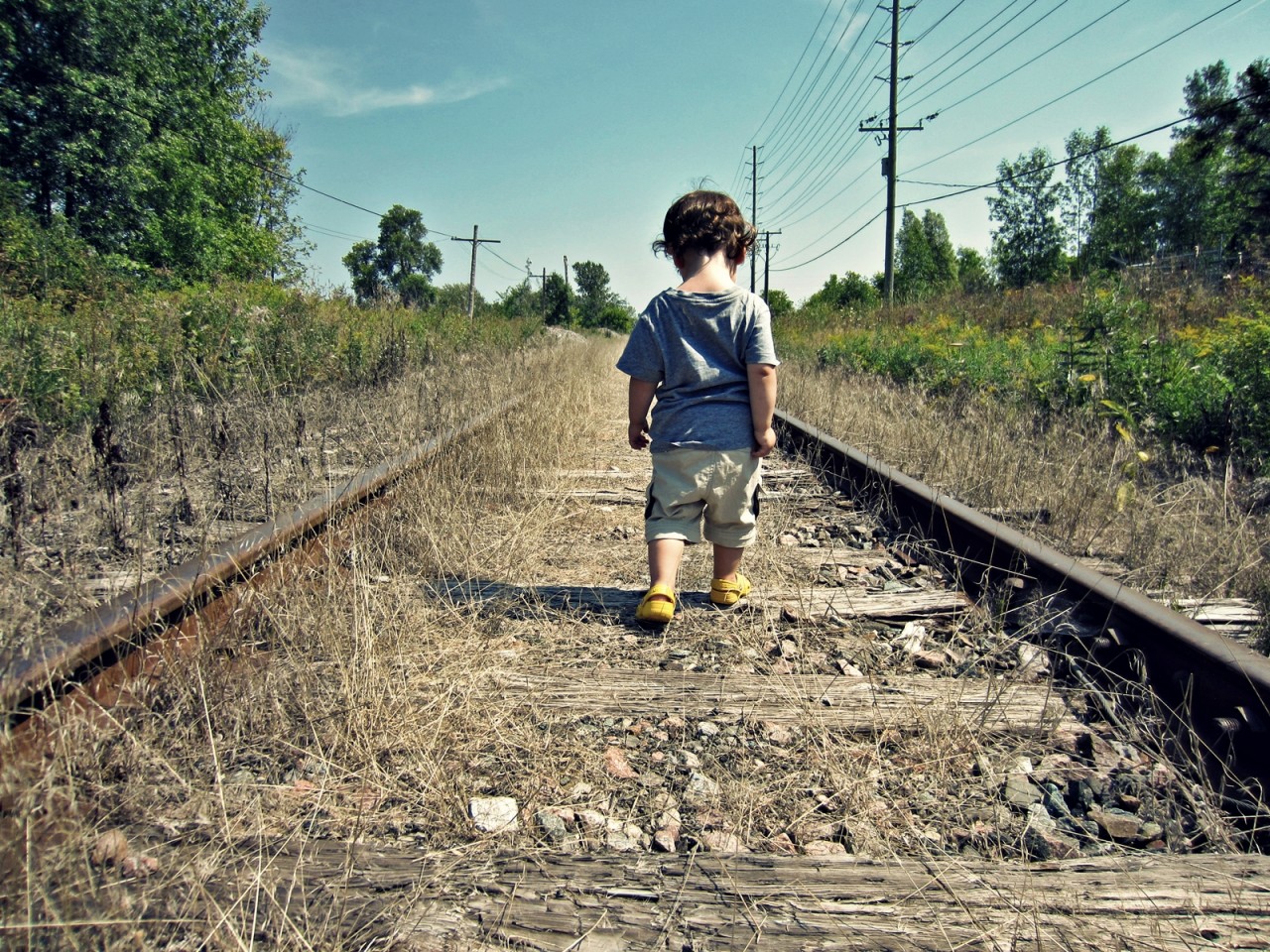 Abandoned tracks through Kanata North provide the best path for the littlest hobo.