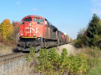 CN 401 well powered with the last but 2 SD70-M.