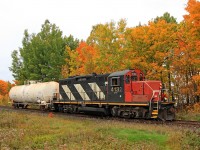 CN 4132 passes another colorful clump of trees approachig Huntsville on a damp and windy day. The continuing rain and high winds have since knocked down a lot of the leaves in places while in other spots they're still hanging on.. 