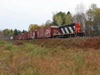 CN 595 headed south late today and caught me napping, however a brisk wind from the south allowed me to hear it blowing for the crossing in Utterson on it's return north. I grabbed my camera and was able to get to this spot with about 30 seconds to spare. As you can see, the aforementioned winds have blown down a lot of the leaves already while others have yet to turn.
