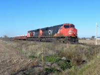 CN 309 passes the detector at 55mph with over 100 cars.