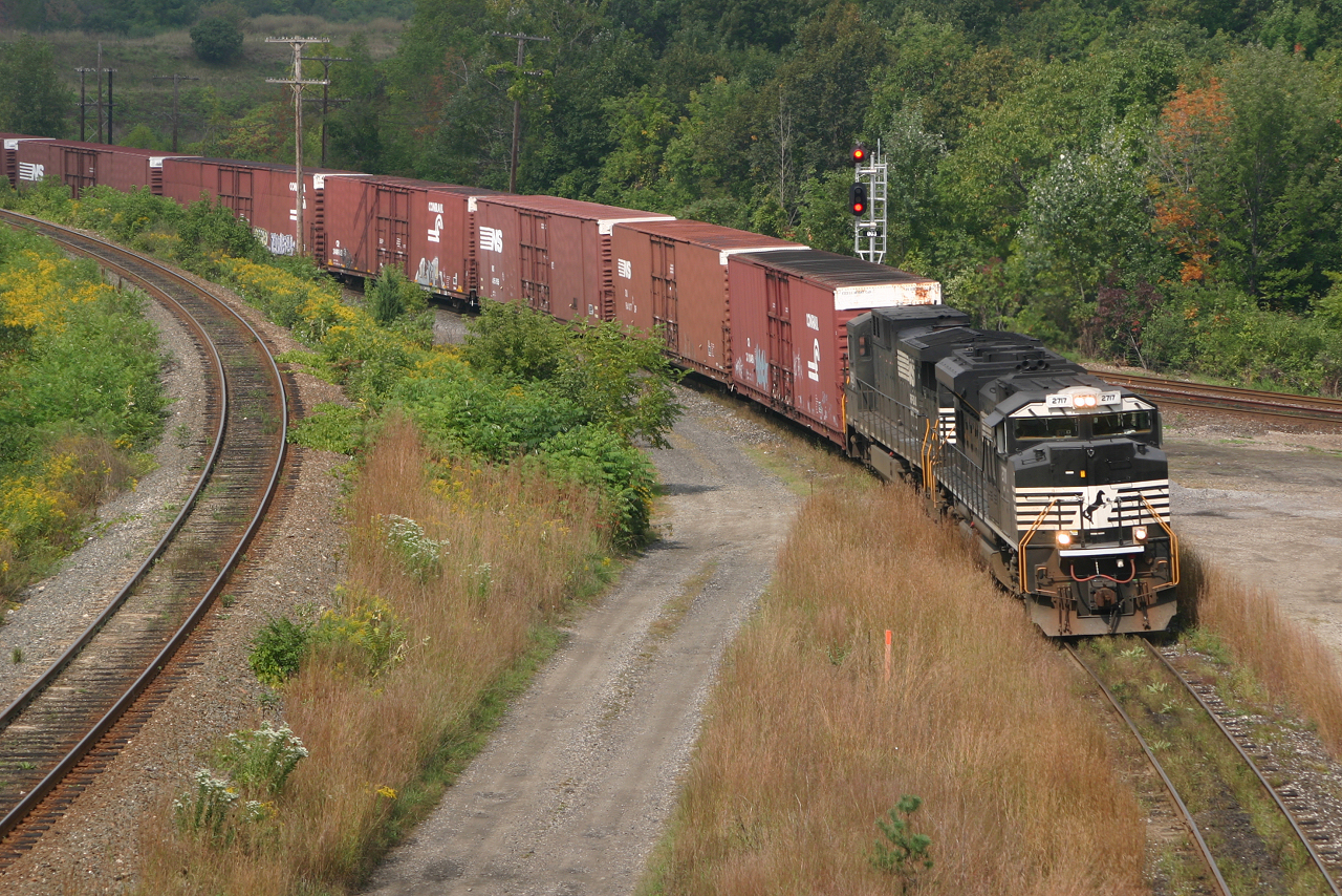 Running a few hours late, NS 328 rolls down the cowpath with NS 2711 and C39-8 8211
