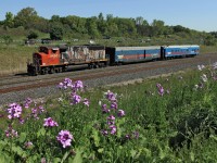 CN 9450 with the TEST train equipment rockets through Aldershot.