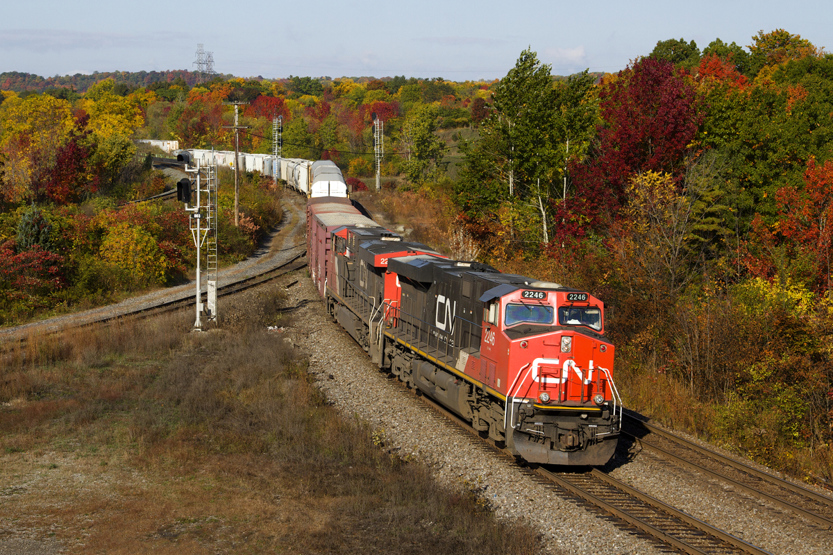 CN 2246 rounds the final curves off the Dundas Subdivision and onto the Oakville at restricted speed due to the underpass project at King Road, passing fall colours the best Southern Ontario has seen in a few years.