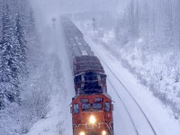 SD40-2 5384 and a sister pull an eastbound grain empty through a blinding October snow storm