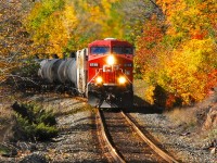 CP 8749 leads Ethanol #642 near Parham, east of Eagle Lake Rd., October 13, 2012