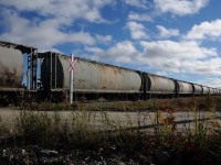 Empty hoppers labelled CNLX, NAHX and NCHX are only a few examples of the intials stencilled on the cars rolling behind ONR GP40-2 2202 and GP38-2 1809 along the rickety Kapuskasing Sub. Only a couple miles from hitting the Agrium Spur, named after the customer it services, the crew will head almost directly south to deliver the empties and lift the outgoing loads of potash and return to Hearst by days end.