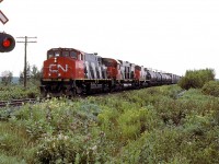 CN 345 always led by MLWs.