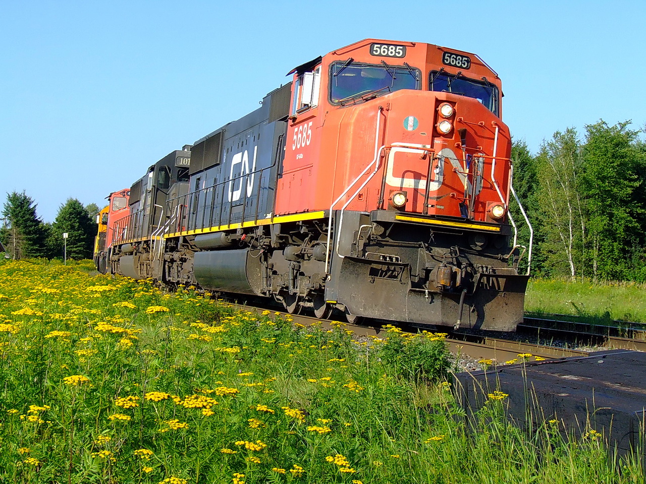 CN 401 always on time in early afternoon.