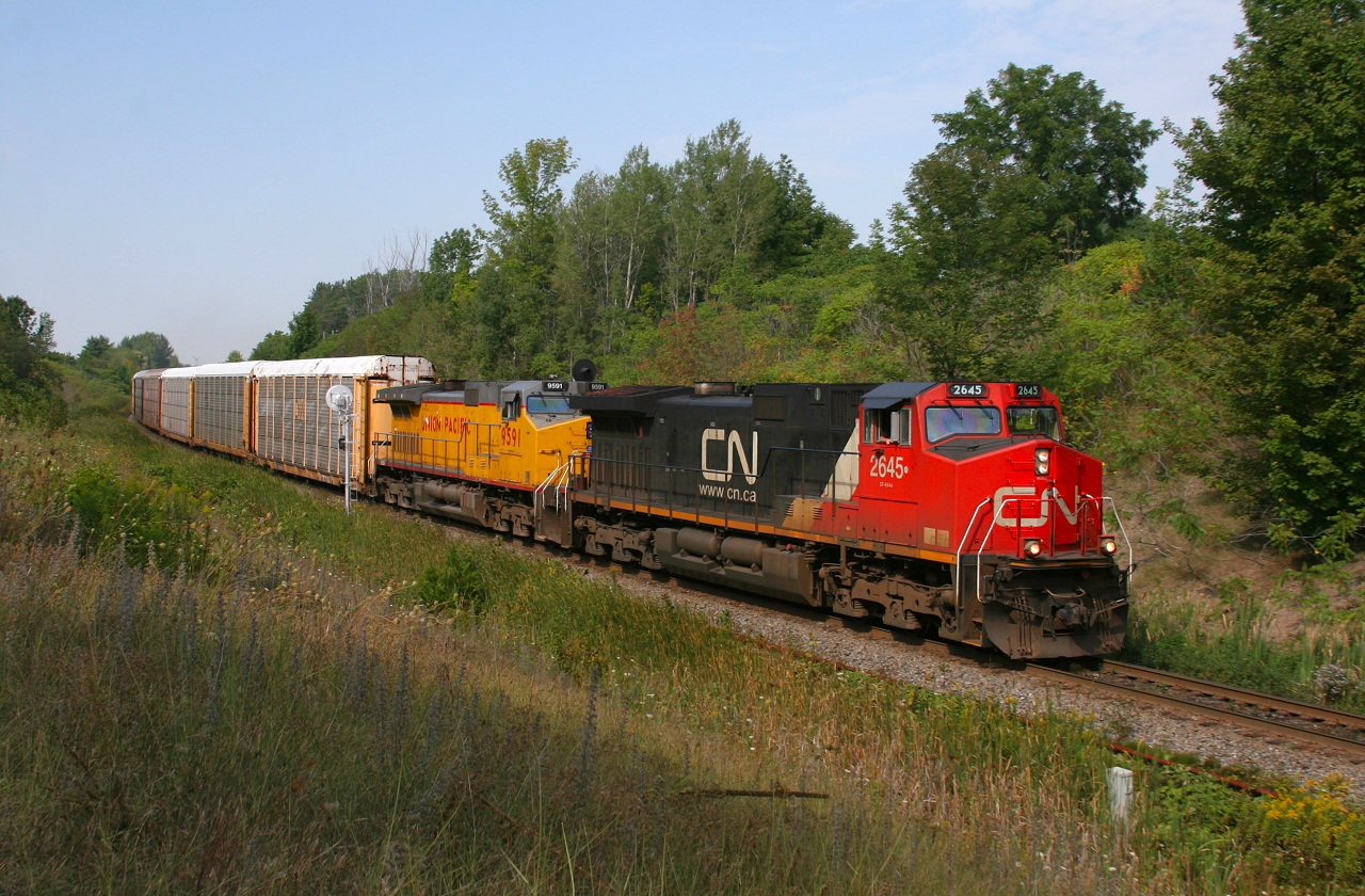 CN 275 with CN 2645 and UP 9591 splits the signals at Mile 30 with a long string of racks bound for the UP at Salem