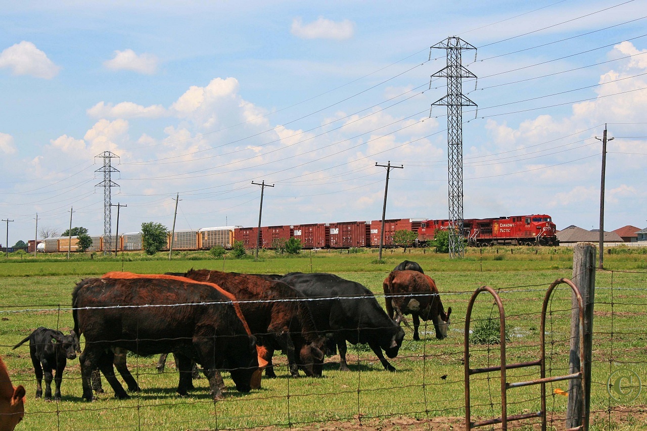 CP 8518 and 8614 lead train 424 eastward at Belle River Ontario June 22, 2008.