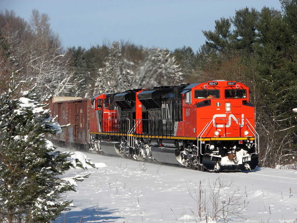 CN 450 - CN 8847 South holding back a long, heavy train of newsprint, ore concentrate, sulfuric acid and lumber from Northern Ontario during the descent into Bracebridge. CN SD70M-2's 8847 and 8839, both fresh from EMD's London, ON plant, were looking good during the winter of 2007. Since this shot was taken, CN 8847 suffered extensive damage after encountering a washout between Lempriere and Pyramid, BC on April 25th 2012 leading train 112, 8847 is currently at contractors in Illinois being evaluated for repairs. CN 8839 at the time of posting is out of Reddit, ON hauling train 114 to it's final destination of Brampton, ON.