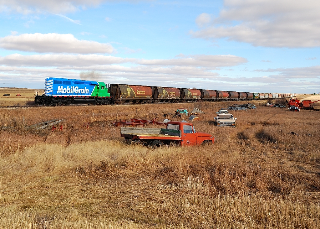 After switching Mobil Grain's small yard in Aylesbury, Mobil Grain 3138 makes it way North towards Saskatoon.