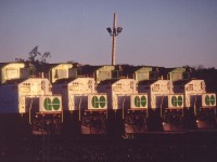 Arriving early dawn at Guelph Jct. where the GO trains for the Milton line were once stored saw the 5 trainsets waiting for the morning rush. Units are: GO 521, 525, 530, 545 and 561. These F59PH units have now mostly been sold off from the GO roster.