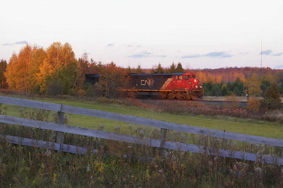 CN 2431, IC 1005, 1034 are in charge of X316 south, seen at Warden Ave, mile 33 of the CN Bala Sub in the last few minutes of sunlight. —
