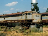 Not long for this world, a collection of old retired CLC "C-liners" languishes in the dead line in Calgary. Photo by the late Andy J. Broscoe.