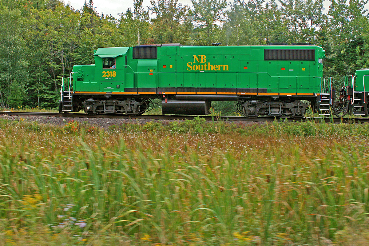 Pacing New Brunswick Southern 908 eastbound through the wetlands between St. Croix and McAdam.