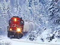 Running long-hood forward, the grimy face (rear?) of 4132 contrasts sharply with the bit of snow that fell the previous day clinging to the trees as 595 makes its way south to Longford Mills.