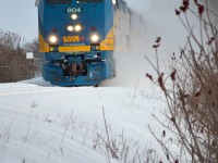 Montreal-Toronto train whipping up a bit of fresh snow.