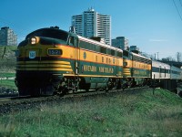 It's the Northland! Southbound at 07:45 (a.m.), after 545 miles with only 6 miles to Toronto Union Depot, the towers of Thorncliffe Park provide a backdrop for Via CN train #98 powered by ONR's classic green and yellow FP7-A #1521 and #1501. The power is coupled in the normal Northland 'elephant style'. The last passenger pool train in Canada? April 1977 Kodachrome by S.Danko.
