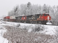 <b>Winter Wonderland: </b>CN intermodal train 112 with a snow covered 8866 on the point, bends around the curve at Rosseau Road.