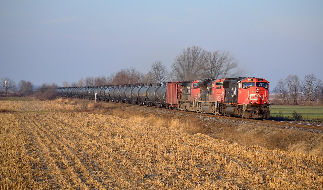 CN U70091-13, a crude oil test train originating in North Dakota and heading for St Johns New Brunswick, heads eastbound approaching Wanstead in the early morning sun.