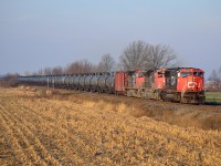 CN U70091-13, a crude oil test train originating in North Dakota and heading for St Johns New Brunswick, heads eastbound approaching Wanstead in the early morning sun.