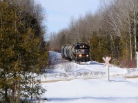 <i>Barrie Collingwood Railway chase 7 of 7.</i> Rolling through the cedars and naked poplars between New Lowell and Angus, the BCRY returns east to Utopia with three UNPX cars in tow from F.S. Partners from Stayner. In a little over two years, on July 15, 2011 the last freight will call on Collingwood. <br>With the high expenses to keep up the poorly maintained line and low traffic volumes, the town of Collingwood would put their section of the line up for sale and apply for abandonment. Today the Barrie-"Collingwood" Railway only operates western portion of the former CN Meaford and Beeton Spurs to Barrie - Innisfail on Monday/ Wednesday/ Friday while the 85 lbs rail west of the CP main rusts away, awaiting reclaimation from the city of Collingwood, nature or both.