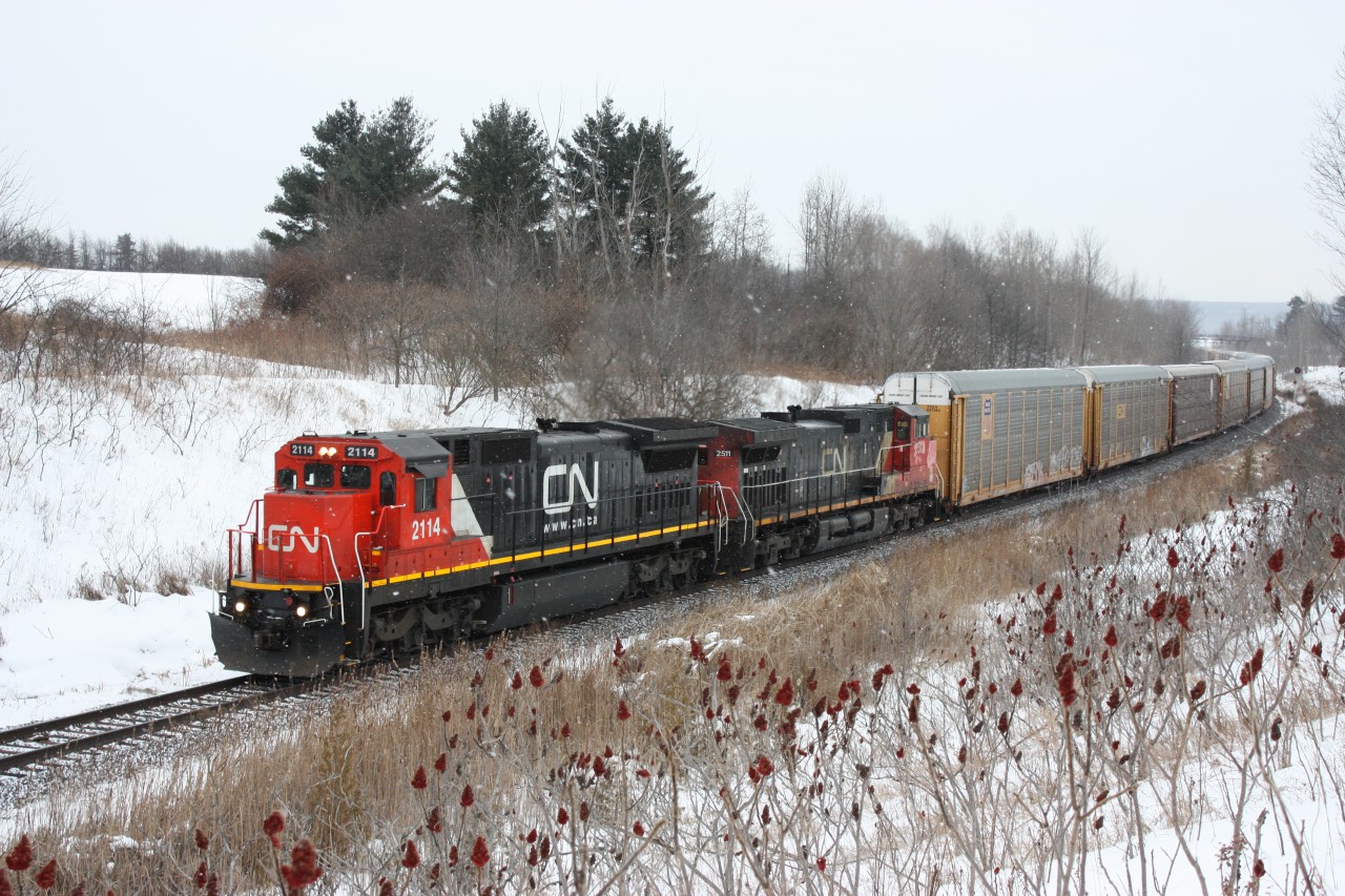 A CN eastbound with a newly acquired former UP/CNW Dash-8 and Dash-9 from CN's first order roll through Scotch Block north of Milton on a snowy afternoon.