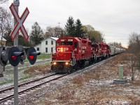 Early spring in Indian River as T07 breaks the morning silence in this quaint town outside Peterborough Ontario.