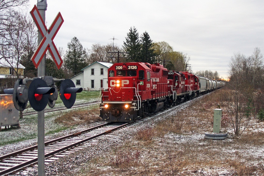 Early spring in Indian River as T07 breaks the morning silence in this quaint town outside Peterborough Ontario.