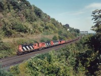 This view, from a hillside location now obliterated by ever expanding foliage, shows #725, "The Nanticoke" with CN4572, 4520 and 9166 the power heading West to Brantford and then south to Waterford & Nanticoke. The view was imaged with a 4x5 Speed Graphic using Kodak Vericolour III type S sheet film for anyone interested.
For Mr. H.T.Greb  :o) in the far distance one can see the old conveyer structure that RP.ca #7210 was imaged from; the south end long removed and screened off. Holes in the structure made for good viewpoints, holes in the floor a must to avoid.
It is only grasses where the track used to run up to the large building where cars were loaded when the operation was in full swing, and just barely in the weed above the cab of the middle unit one can see where the old incline ran up the hillside. It is now a hiking path. Building and overhang removed in the mid-90s, I think.