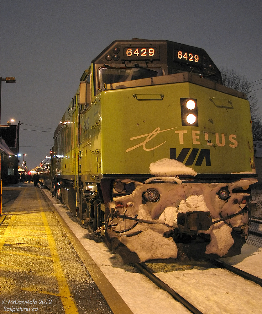With its pilot full of snow from its recent winter rompings, VIA "Telus"-wrapped 6429 is on the point of this evening's 87, with passengers boarding/deboarding a few cars down the platform by Brampton station.

6429 has since been refurbished by CAD Rail, and is just another VIA F40PH-2...but on the plus side, it's not that barf-green colour.