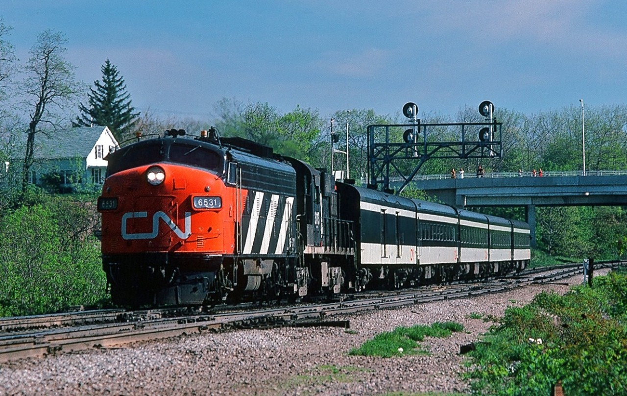 It seems that the more interesting liveries - paint schemes - have shortened lifespans * . 

Hard to believe but the white on black (with red nose) CN passenger livery life was a short fifteen years, replaced April 25, 1976 by the first VIA CN timetable ** and the corresponding yellow on blue VIA CN livery. The exception being the VIA CN Turbo train, painted blue on yellow. (The first time I saw the newly repainted VIA CN Turbo that paint reminded me of the Union Pacific!). Fortunately it took some time to get the CN fleet repainted - so witness here VIA CN Tempo train #81 cruising through Bayview Junction in May 1977 in full CN passenger livery (all south west Ontario VIA CN trains were 'Tempo' irregardless of the actual equipment assigned). Kodachrome by S.Danko.

How times change, when the CN Police simply provided a friendly wave to the Bayview Jct fans! (Perhaps that is YOU on the RBG Laking Garden Bridge ? ! )

( * another example shortened livery lifespan: the C&O/B&O Chessie Cat livery was replaced after fourteen short years).

( ** the final Canadian National - Canadien National System Timetable is dated October 26, 1975).

More CN w & b livery: 

 CN cabs at speed  

 CN cabs nose profile  

 contrasting CN cabs  

sdfourty.