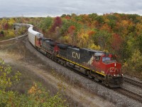 Fall colours are at their peak in the Hamilton area as CN 332 snakes through the curves at Hamilton West with an eastbound train.